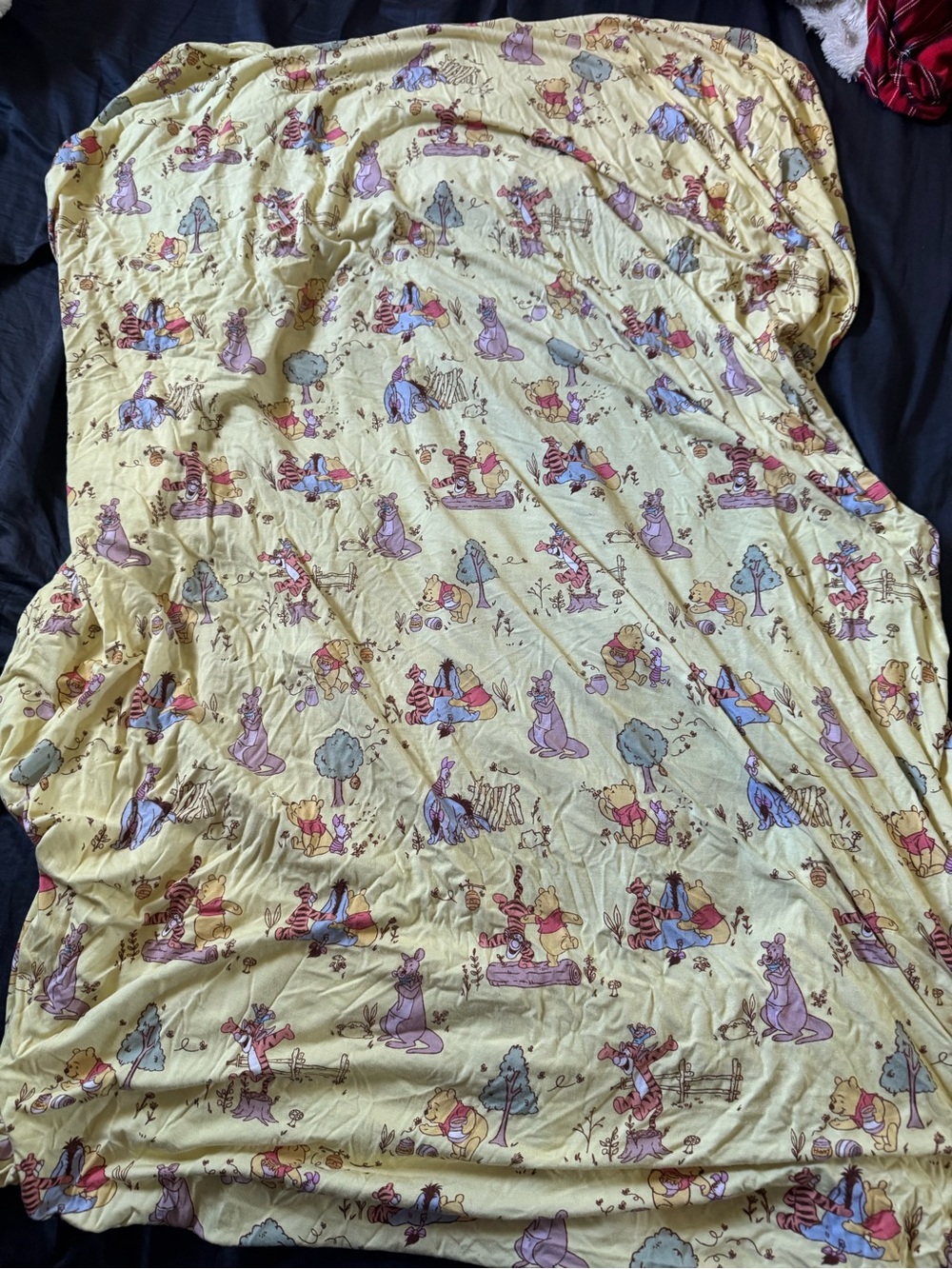 Little Sleepies Pooh Standard Crib Sheet